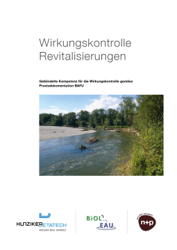 Broschüre Wirkungskontrolle Revitalisierung