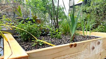 Die Schwammstadt zum Anfassen 