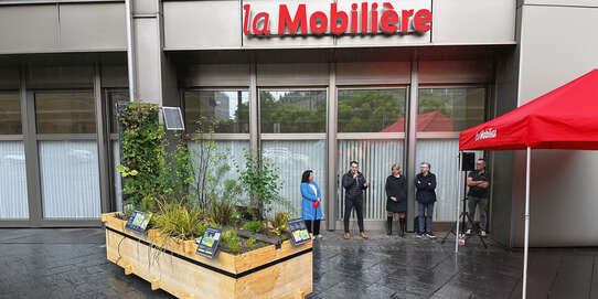 Die Pocket Schwammstadt beim die Mobiliar Hauptsitz in Bern