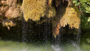 Revitalisierungspotenzial von Quellen