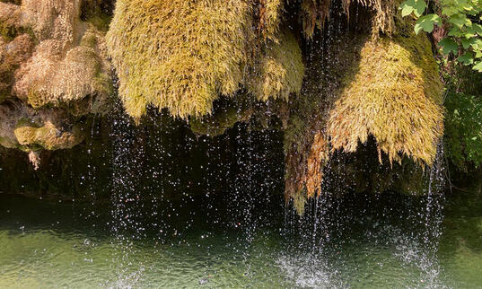 Revitalisierungspotenzial von Quellen