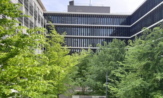 Arealentwässerungskonzept