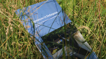 Schwammstadt-Thematik