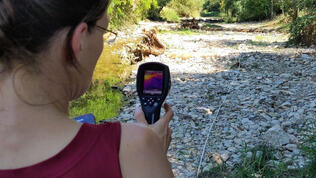 Sissle im Kanton Aargau